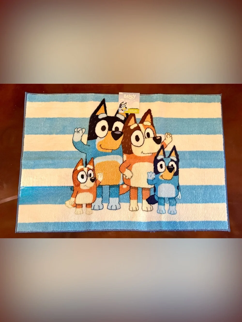 Bluey Family Stripe Blue White Indoor Area Rug 31.5”X46”~NWT